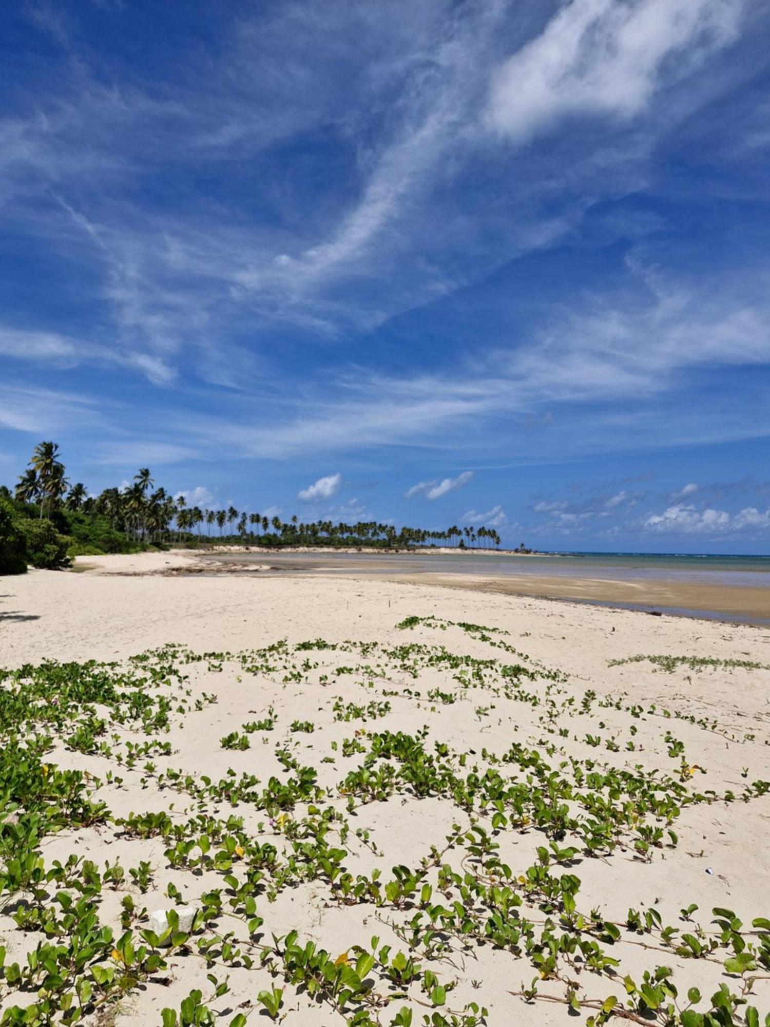 Msflats Paripueira Praia Wifi Ar Cozinha E Varanda Nascente C Rede *