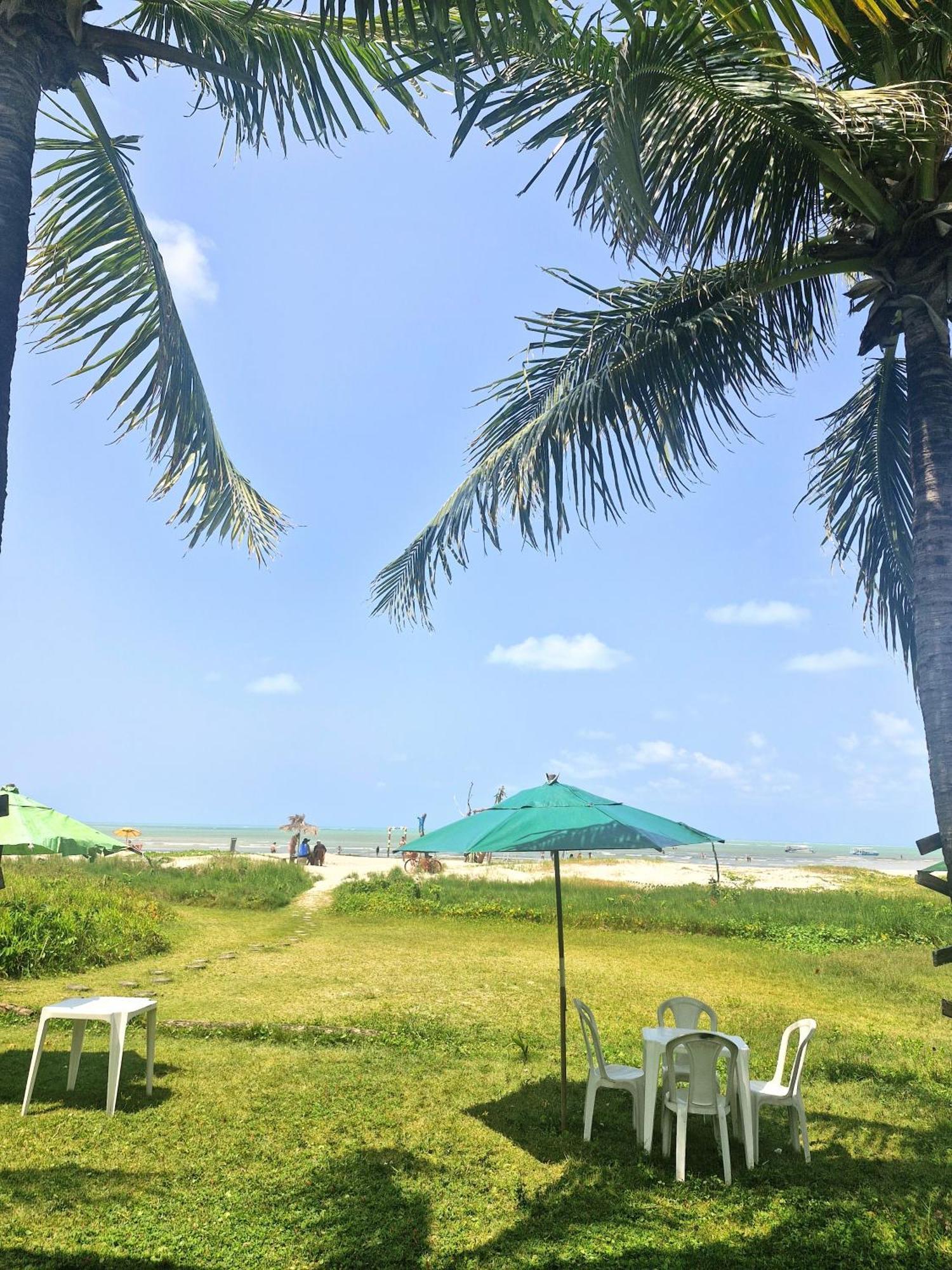 Msflats Paripueira Praia Wifi Ar Cozinha E Varanda Nascente C Rede Apartment *